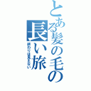 とある髪の毛の長い旅（終わりは見えない）