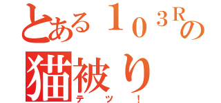 とある１０３Ｒの猫被り（テツ！）