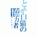 とある白猫の協力者（プレイヤー）