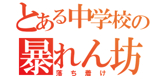 とある中学校の暴れん坊（落ち着け）