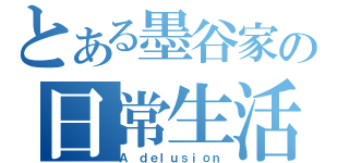 とある墨谷家の日常生活（Ａ ｄｅｌｕｓｉｏｎ）