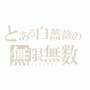 とある白薔薇の無限無数（インフィニティ）