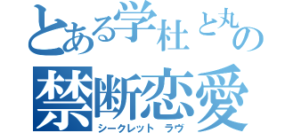 とある学杜と丸眼鏡の禁断恋愛（シークレット ラヴ）