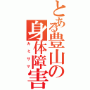 とある豊山の身体障害（カミサマ）