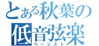 とある秋葉の低音弦楽（ベーシスト）