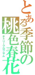 とある季節の桃色春花（チェリーブロッサム）