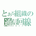 とある組織の通信回線（スカイプ）