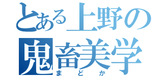 とある上野の鬼畜美学（まどか）