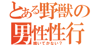 とある野獣の男性性行（焼いてかない？）