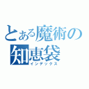 とある魔術の知恵袋（インデックス）