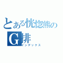 とある恍惚熊のＧ排（インデックス）