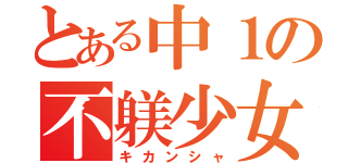 とある中１の不躾少女（キカンシャ）