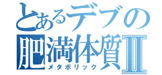 とあるデブの肥満体質Ⅱ（メタボリック）