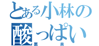 とある小林の酸っぱい男（悪臭）