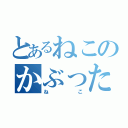 とあるねこのかぶった（ねこ）