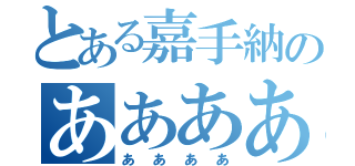 とある嘉手納のああああ（ああああ）