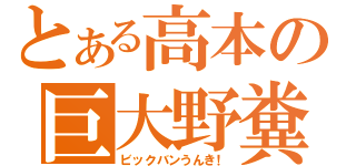 とある高本の巨大野糞（ビックバンうんき！）