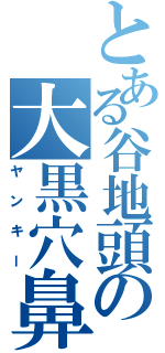 とある谷地頭の大黒穴鼻（ヤンキー）