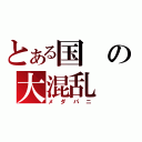 とある国の大混乱（メダパニ）