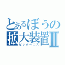 とあるぼうの拡大装置Ⅱ（ビックペニス）