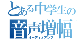 とある中学生の音声増幅器（オーディオアンプ）