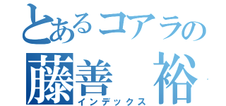 とあるコアラの藤善 裕大（インデックス）