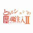 とあるシュシュの闘魂注入Ⅱ（インデックス）