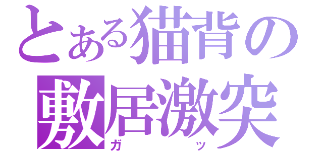 とある猫背の敷居激突（ガッ）