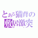 とある猫背の敷居激突（ガッ）