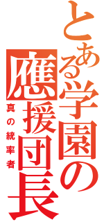 とある学園の應援団長（真の統率者）