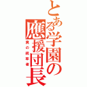 とある学園の應援団長（真の統率者）