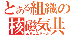 とある組織の核磁気共鳴（エヌエムアール）