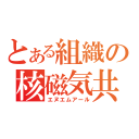 とある組織の核磁気共鳴（エヌエムアール）