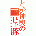 とある神輿の三匹子豚（一年壱組）