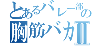 とあるバレー部の胸筋バカⅡ（）