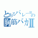 とあるバレー部の胸筋バカⅡ（）