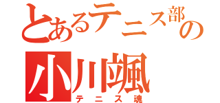 とあるテニス部の小川颯（テニス魂）