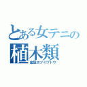 とある女テニの植木類（金冠ヨツミワドウ）