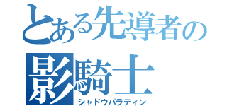 とある先導者の影騎士（シャドウパラディン）