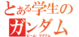 とある学生のガンダム（ビーム・マグナム）