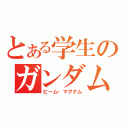 とある学生のガンダム（ビーム・マグナム）