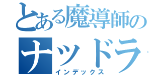 とある魔導師のナツドラグニル（インデックス）