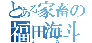 とある家畜の福田海斗（ぶた）