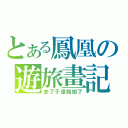 とある鳳凰の遊旅畫記（去了于是就拍了）