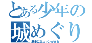 とある少年の城めぐり（歴史にはロマンがある）