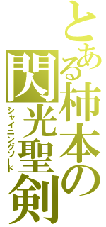 とある柿本の閃光聖剣（シャイニングソード）