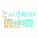 とある小哈の秘密時間（夜裡靜靜地！？）