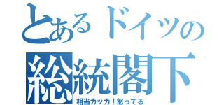 とあるドイツの総統閣下（相当カッカ！怒ってる）