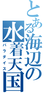 とある海辺の水着天国（パラダイス）