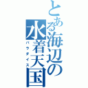 とある海辺の水着天国（パラダイス）